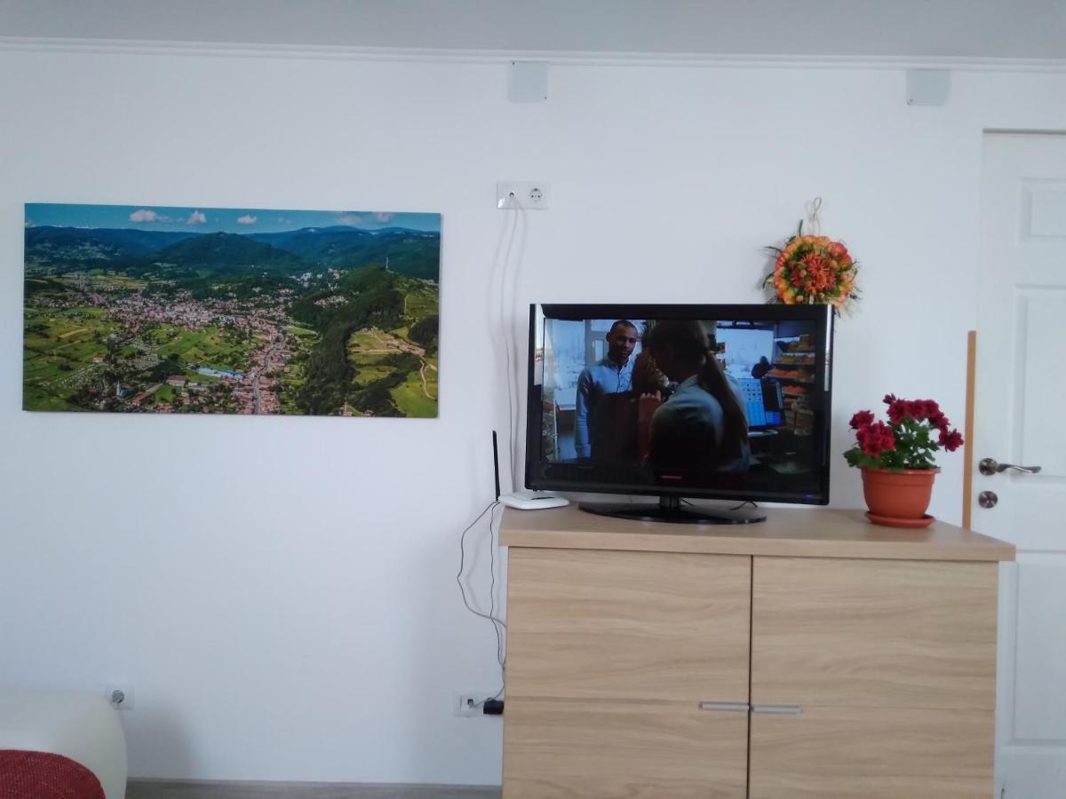 Raza Soarelui Apartament De Lux Совата Экстерьер фото