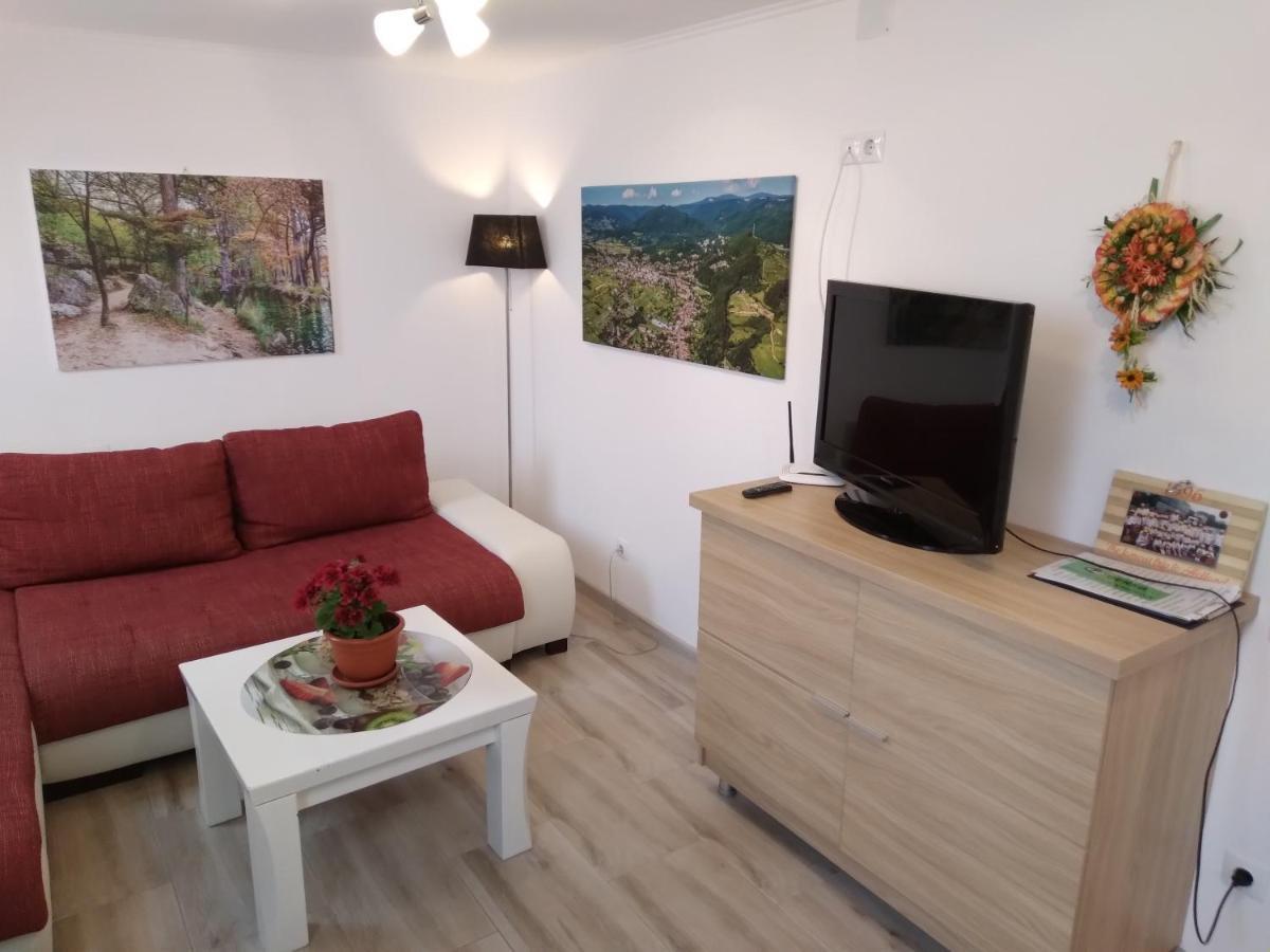 Raza Soarelui Apartament De Lux Совата Экстерьер фото